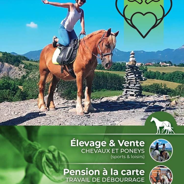 Ecuries les Pies du Sud - Rochebrune-photo-page