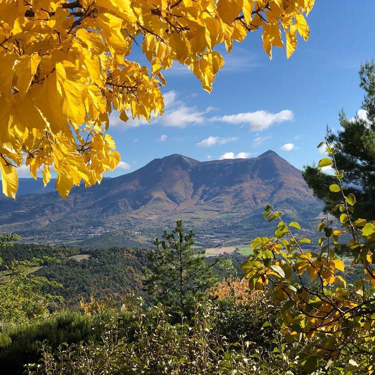 Sans titre-photo-page