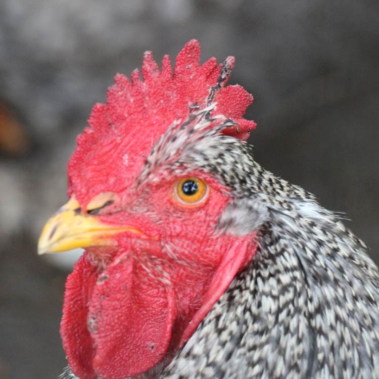 Sans titre-photo-page