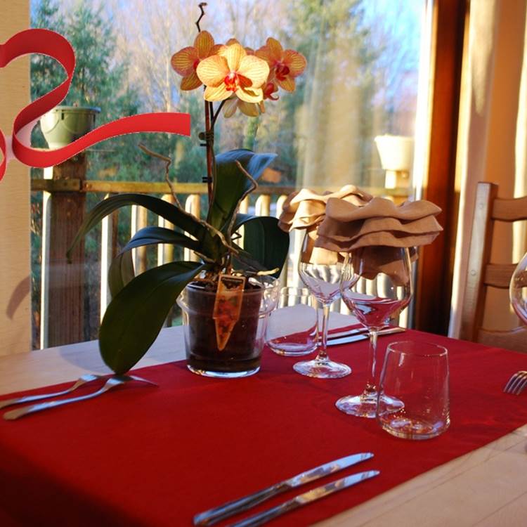 saint valentin au Ranch des Lacs-photo-page