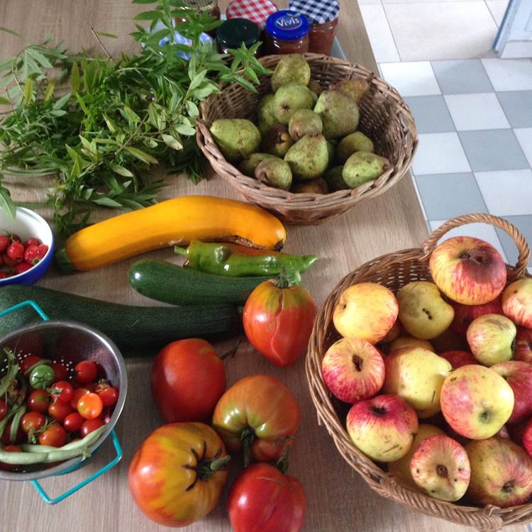 fruits et legumes du jardin