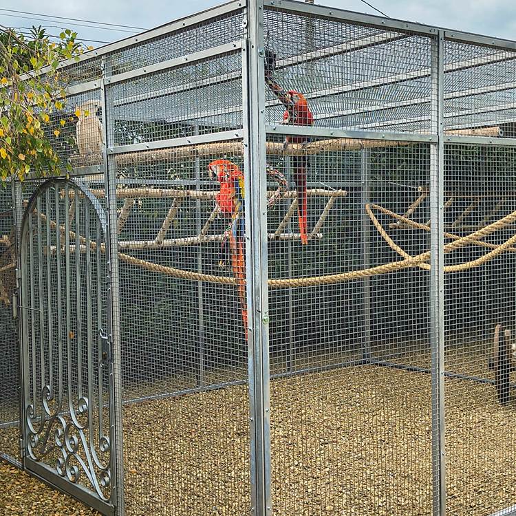 hébergement avec perroquets-photo-page