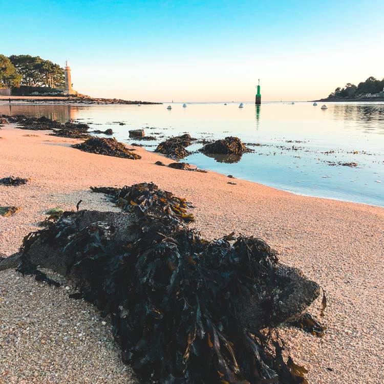 Embouchure de l'Odet depuis la plage du Coq Bénodet-photo-page