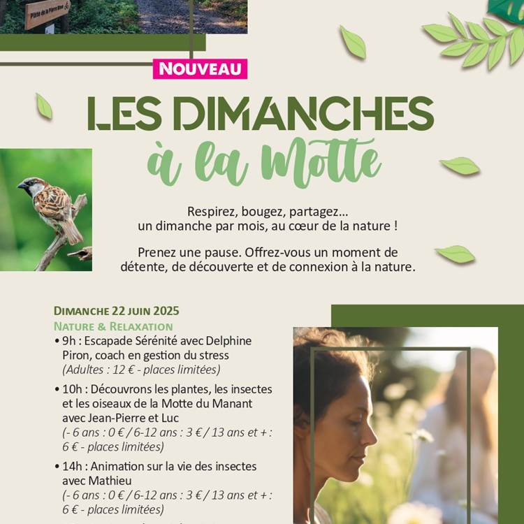 Dimanches à la Motte