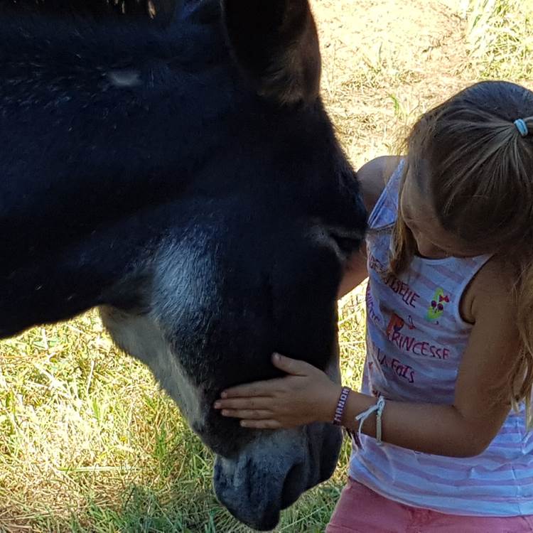 Rando avec un âne, étape à la Maison du Masjoubert-photo-page