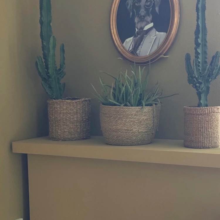 Sans titre-photo-page