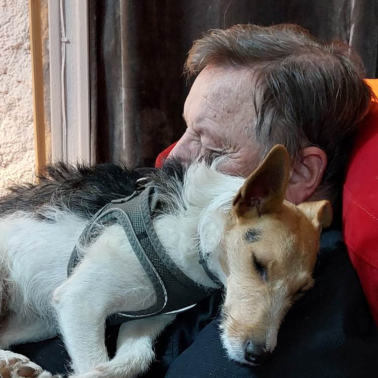 Pet-Friendly au Ranch des Lacs, Jules et Yummy-photo-news