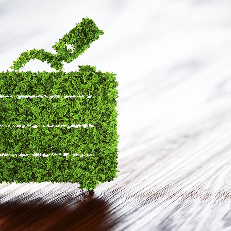 GreenKey_lafermeduparc_fournil_2024-photo-news