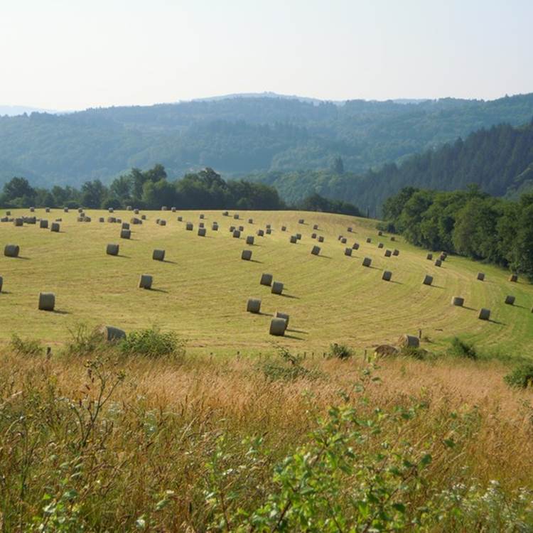 notre belle campagne, vue devant le Ranch des Lacs en été-photo-page