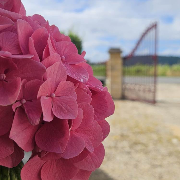 Sortie portail Château Touzinat Saint-Emilion-min