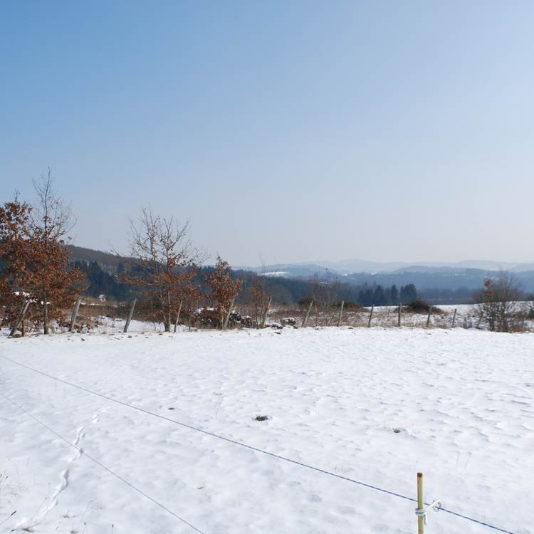 paysage d'hiver, vue devant le Ranch des Lacs Vervialle 87120-photo-page