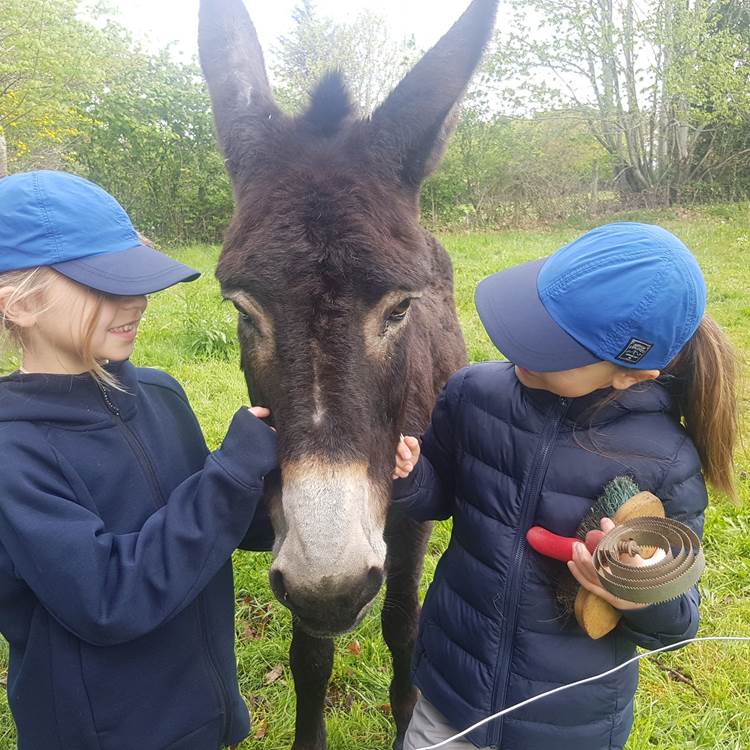 Image écoute ce que ces deux demoiselles lui racontent randonnée avec un âne Maison du Masjoubert séjour famille-photo-page
