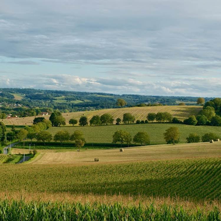 Sans titre-photo-page