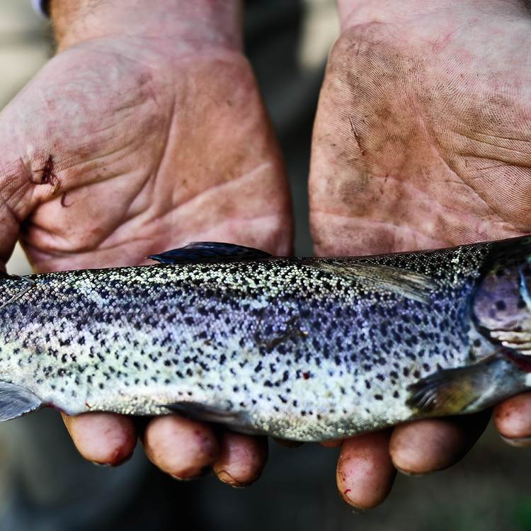 60 - Gramat-concours pêche-074©OTVD-Cochise Ory-photo-page