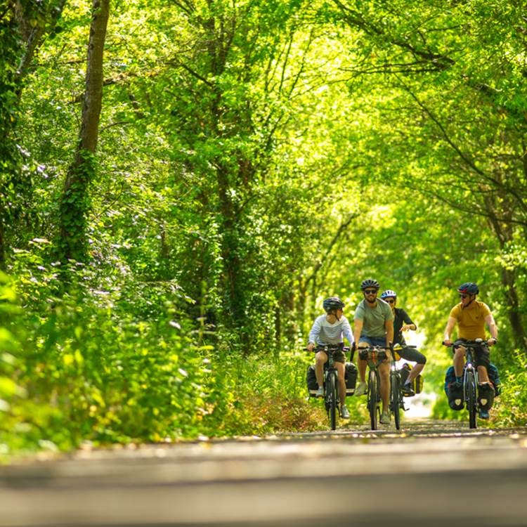 Sans titre-photo-page