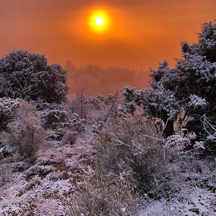 Sans titre-photo-page