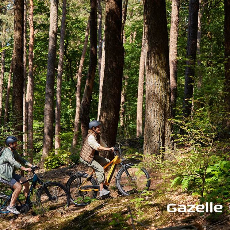 gazelle_stationsbees_foret
