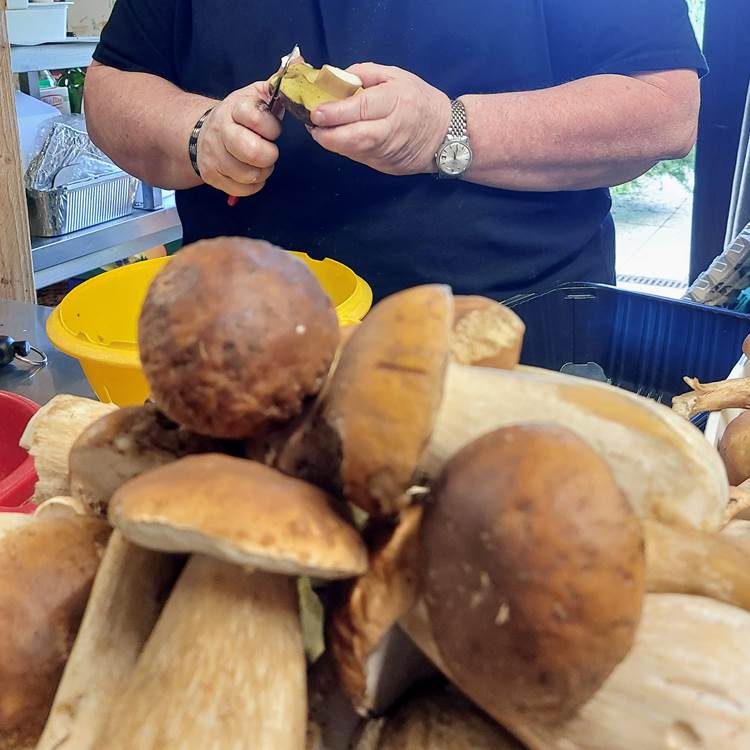 Sans titre-photo-page