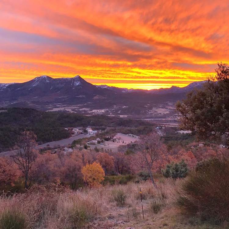 Sans titre-photo-page