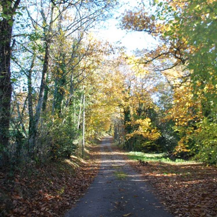 balade en novembre au départ du Ranch des Lacs Hotel à la campagne-photo-page
