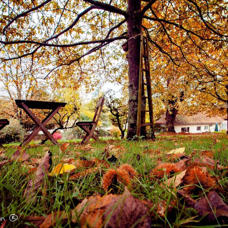 Le jardin-photo-page