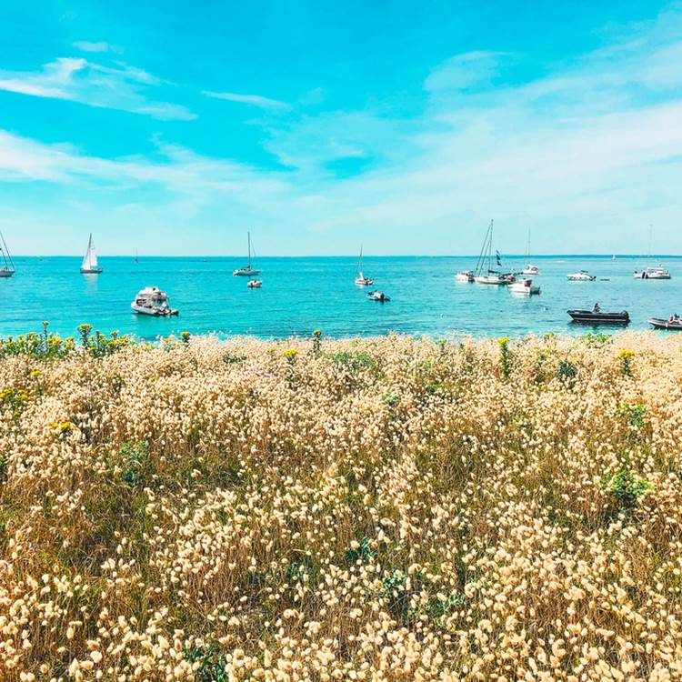 Île de Penfret les Glénan Fouesnant-photo-page