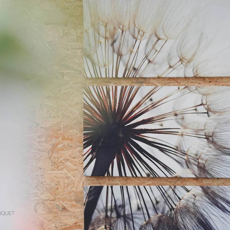 ®Salle _L'écurie-photo-page