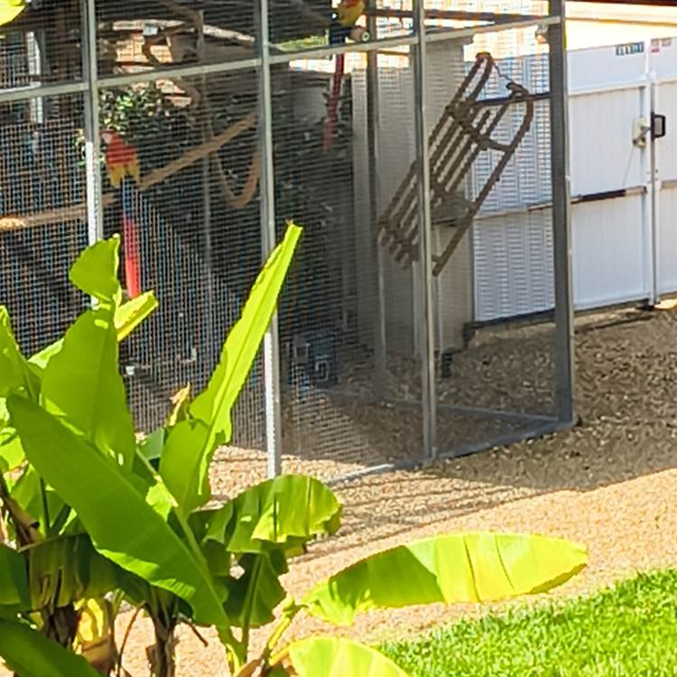 perroquets maison d’hôtes La Flèche expérience unique Sarthe-photo-page