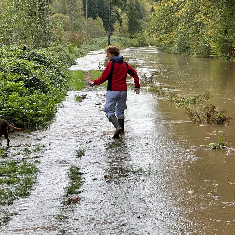 Le canal d'amenée déborde...