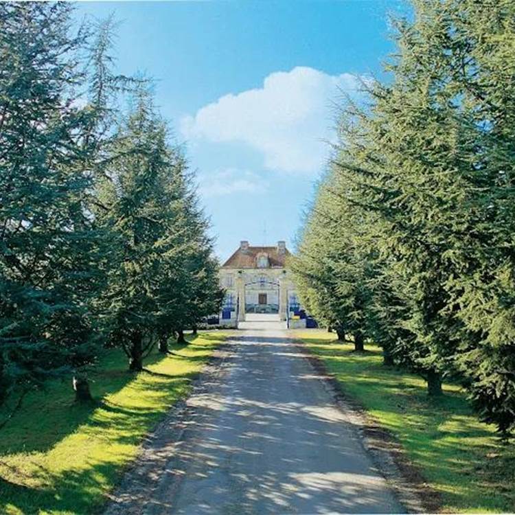 Domaine de Bellevue-Vins et spiritueux-photo-page