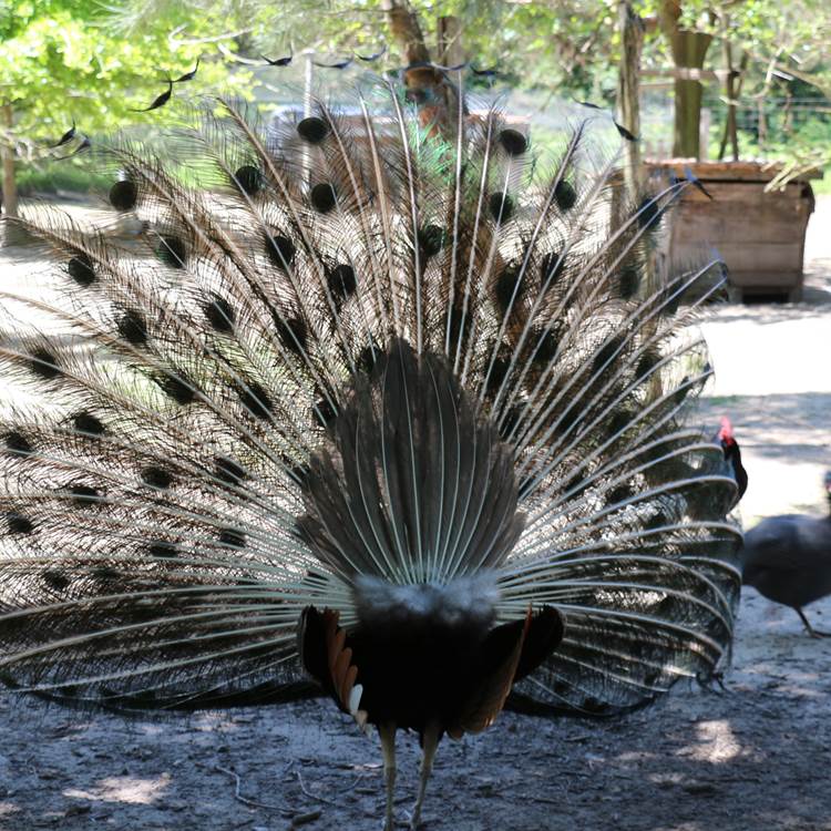 Sans titre-photo-page