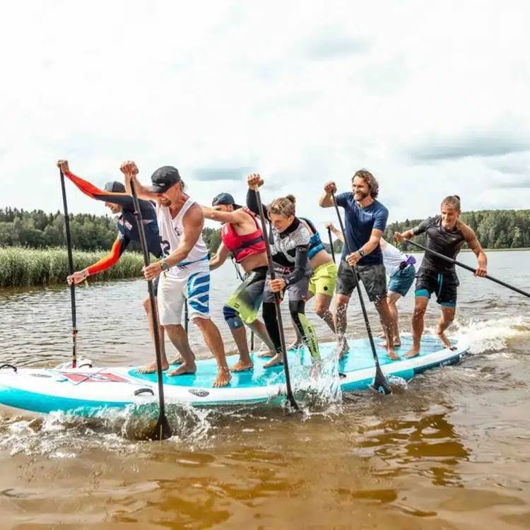 Paddle-geant