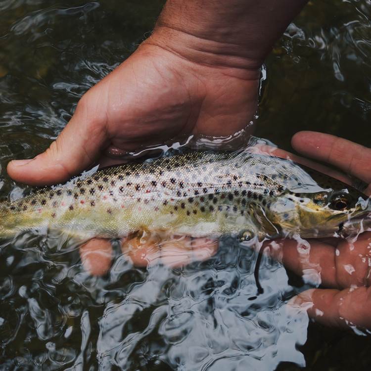 60 - hunter-brumels-760768-unsplash-photo-page