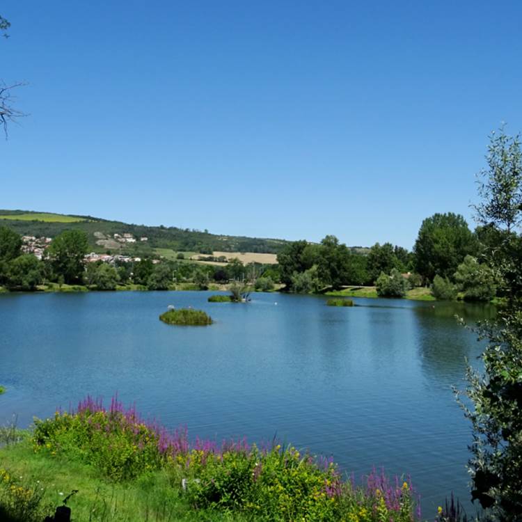 Plan d'eau de Cournon d'Auvergne-photo-news