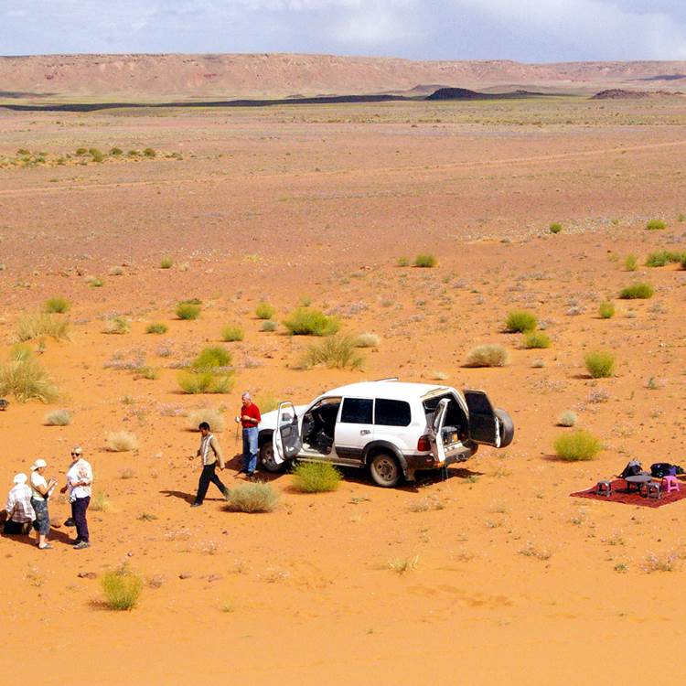 Pause pique-nique dans les dunes-photo-news