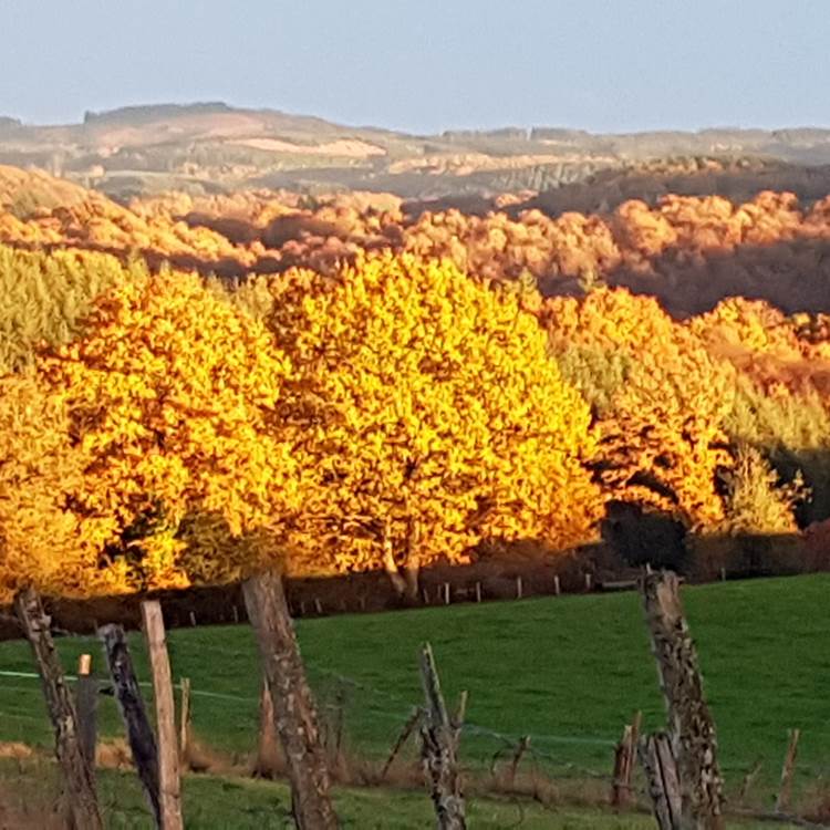 lumières d'automne couché de soleil Le Ranch des Lacs  hotel de charme-photo-page