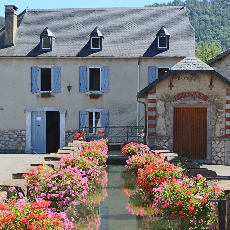 Moulin_été 2016a