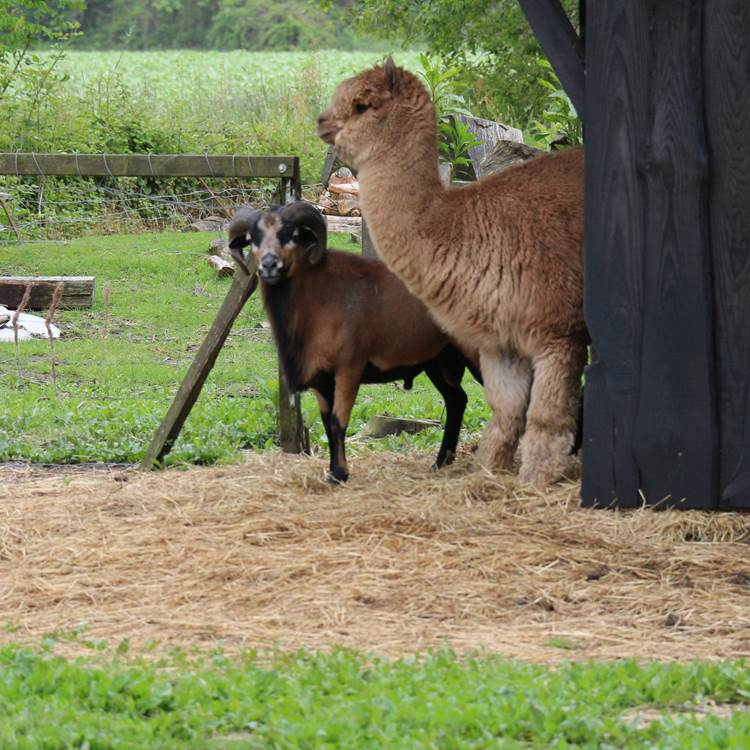 Sans titre-photo-page