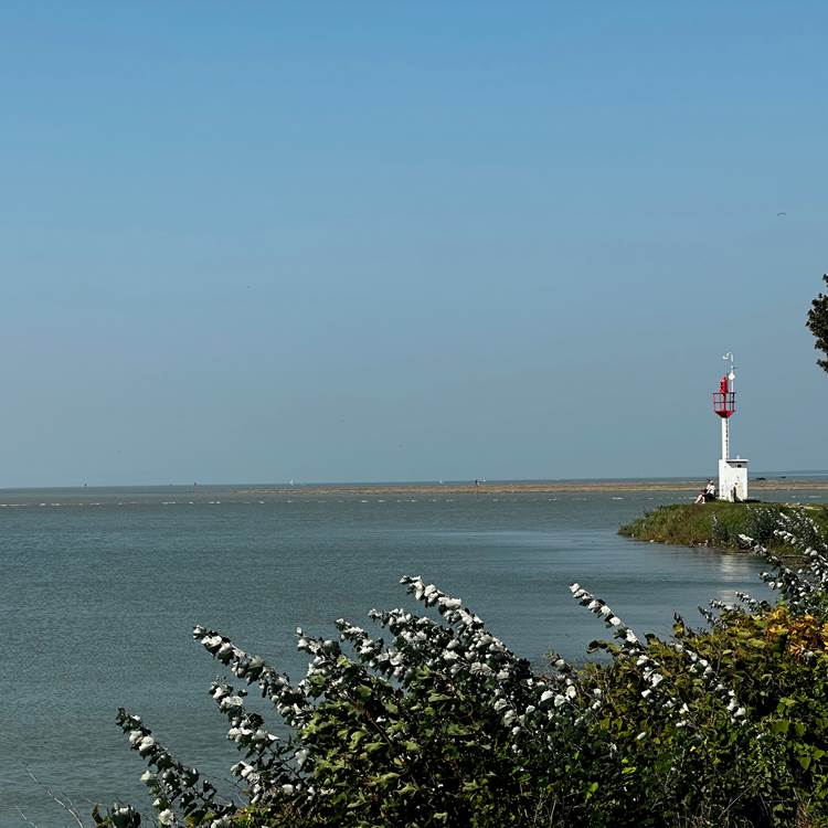 © Au Presbytère de Saigneville-photo-news