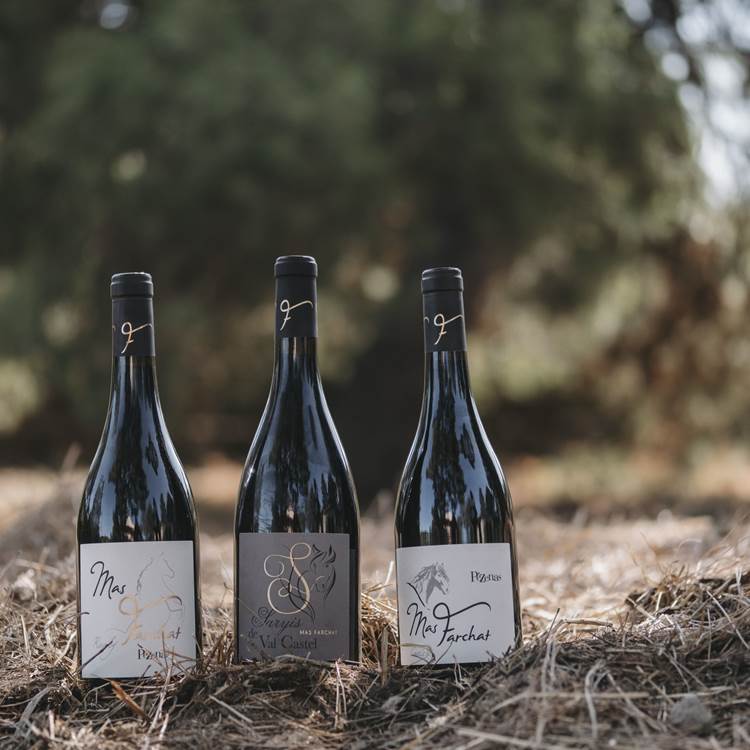 Les vins AOC Pézenas du Mas Farchat-photo-page