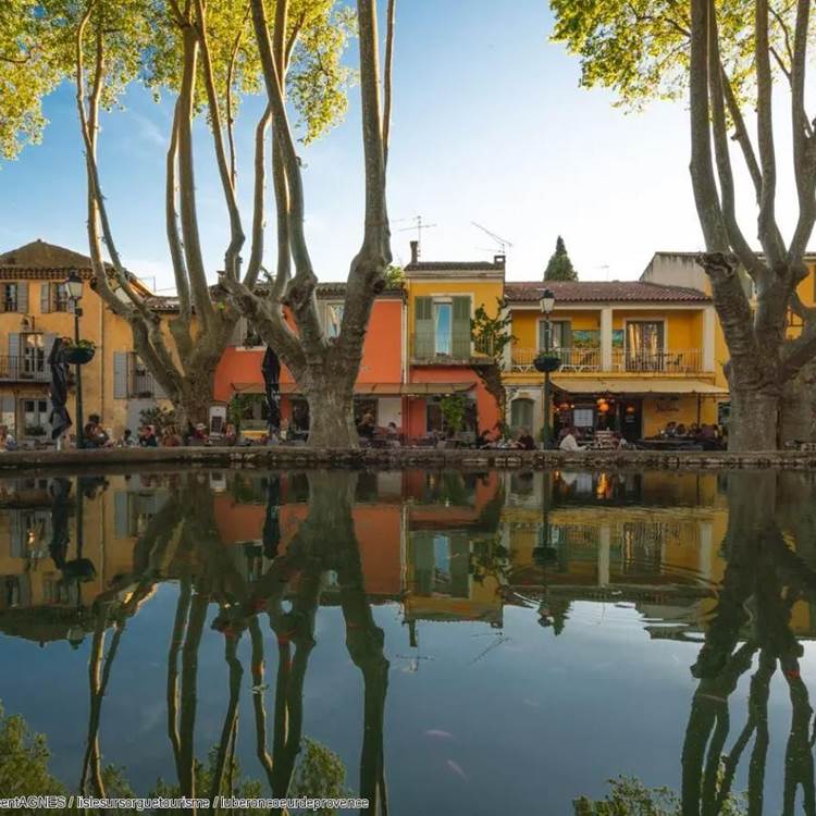 Vue-sur-plan-d'eau