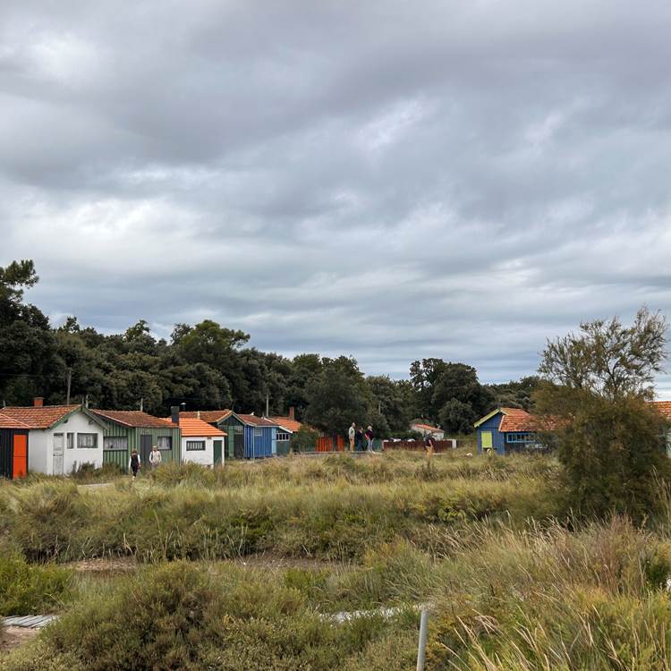 Aller déguster des huitres à Fort Royer à 10 minutes de  Maison Ginette-photo-page