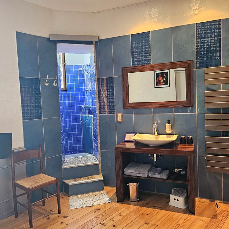 Salle de Bain Georges Delatour