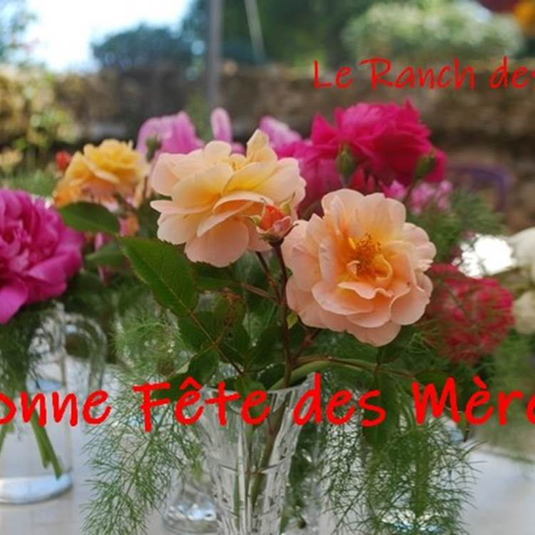 Fête des mères au Ranch des Lacs 2023-photo-page