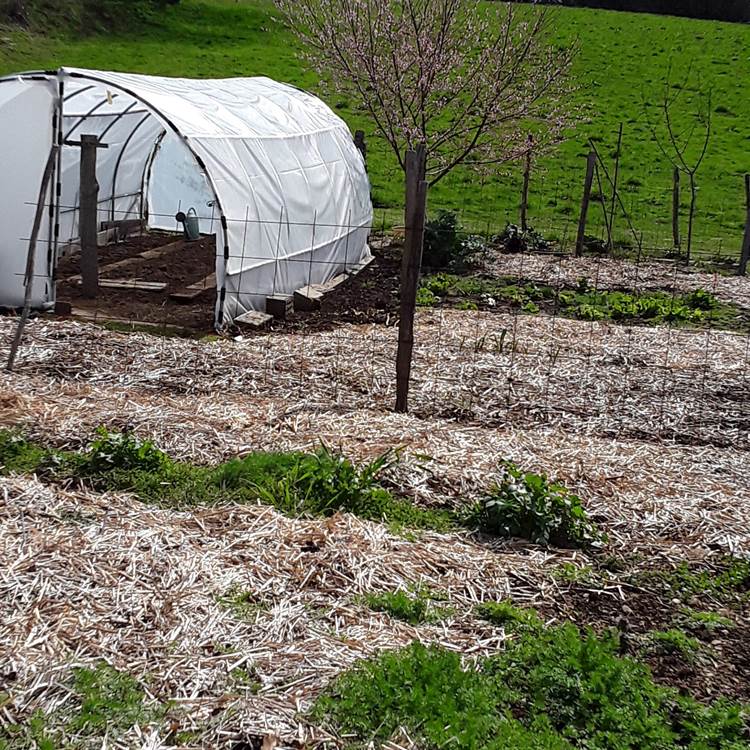 LE POTAGER S'EVEILLE-photo-news