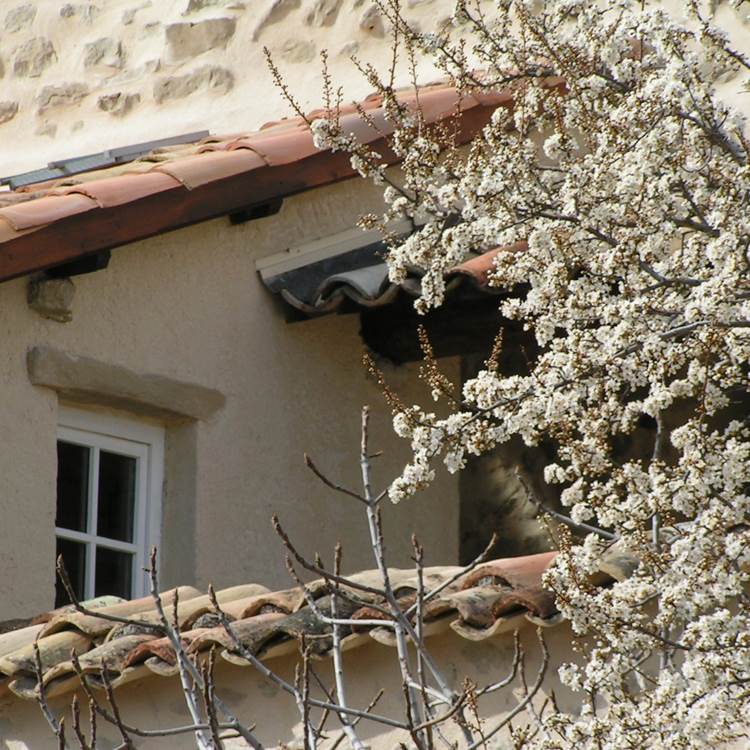 Sans titre-photo-page