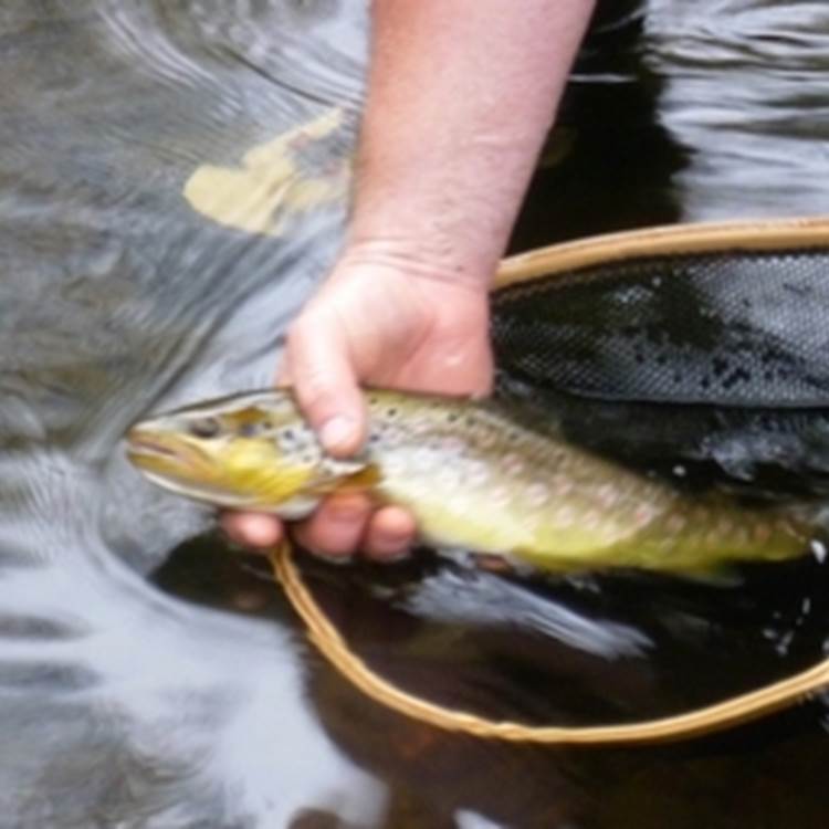 ami pêcheur, le limousin, un pays pour vous pêcheur, hébergement pêche 87120-photo-page