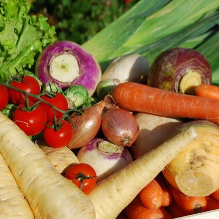 Dans nos plats à emporter les légumes de notre primeur Sébastien Henrio Eymoutiers-photo-page