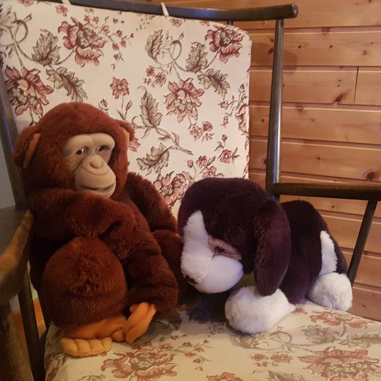 détails Chambre d'hôte Maison Masjoubert, repos en Haute-Vienne-photo-page