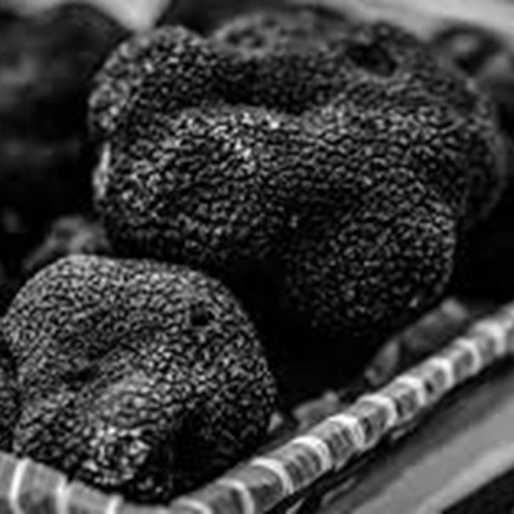 Sans titre-photo-news